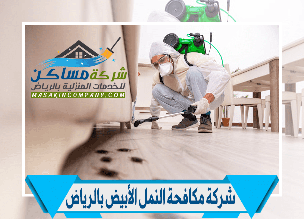 شركة مكافحة النمل بالرياض