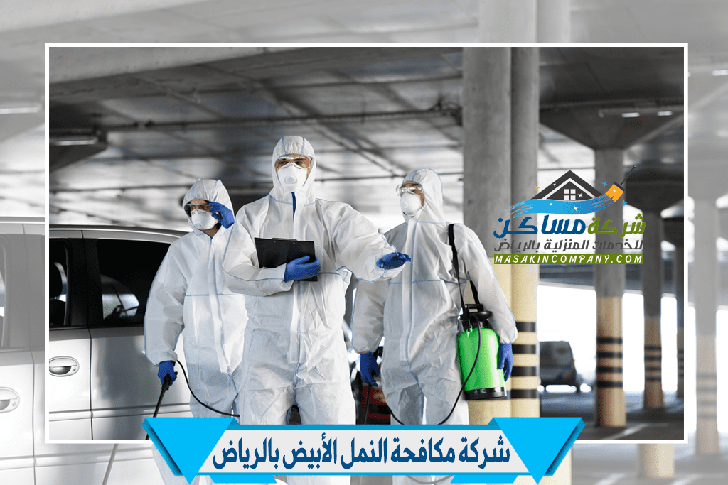 مكافحة النمل في الرياض
